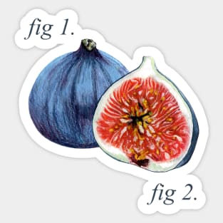 Annotated Figs diagram Sticker